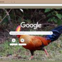 Ga rung  screen for extension Chrome web store in OffiDocs Chromium