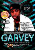 Free download Garvey Poster free photo or picture to be edited with GIMP online image editor