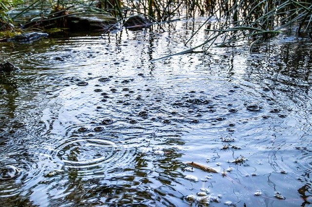 Free download gas bubbles carbon dioxide free picture to be edited with GIMP free online image editor