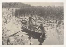 김프 온라인 이미지 편집기로 편집할 수 있는 Gathering Water-Lillies 무료 사진 또는 그림을 무료로 다운로드하세요.