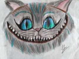 Free download Gato de Miguel free photo or picture to be edited with GIMP online image editor
