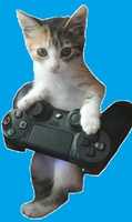 Free download gato gamer free photo or picture to be edited with GIMP online image editor