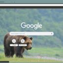 Gau hoang  screen for extension Chrome web store in OffiDocs Chromium