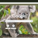Gau Koala  screen for extension Chrome web store in OffiDocs Chromium