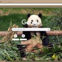 Gau Panda  screen for extension Chrome web store in OffiDocs Chromium
