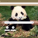 Gau Truc  screen for extension Chrome web store in OffiDocs Chromium