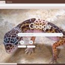 Gecko  screen for extension Chrome web store in OffiDocs Chromium