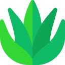 Pantalla Gel de Aloe Vera para extensión Chrome web store en OffiDocs Chromium