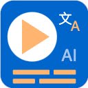 Gemini Video Subtitle  screen for extension Chrome web store in OffiDocs Chromium
