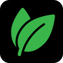 Genealogy Assistant  screen for extension Chrome web store in OffiDocs Chromium