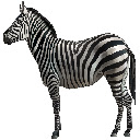 Schermata generale del tema Zebra per l'estensione Chrome Web Store in OffiDocs Chromium