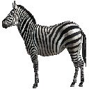 OffiDocs Chromium 中扩展 Chrome 网上商店的常规 Zebra 主题屏幕