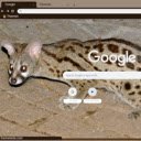 Genet  screen for extension Chrome web store in OffiDocs Chromium