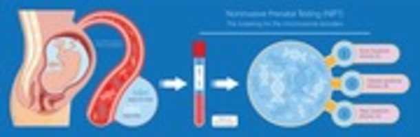 Free download genetic-prenatal-testing free photo or picture to be edited with GIMP online image editor