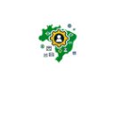 Gerador de Dados Brasileiros  screen for extension Chrome web store in OffiDocs Chromium