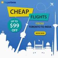 Free download Get Toronto To Bengaluru Flights free photo or picture to be edited with GIMP online image editor