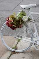 Free download Ghost Bike HWLI 01 001 free photo or picture to be edited with GIMP online image editor