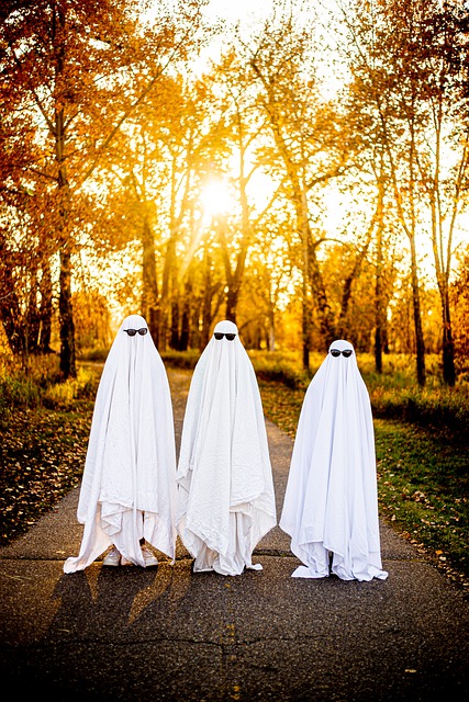 Kostenloser Download des lustigen Geister-Halloween-Kostüms, kostenloses Bild zur Bearbeitung mit dem kostenlosen Online-Bildeditor GIMP