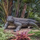 Giant lizard  screen for extension Chrome web store in OffiDocs Chromium