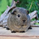 Giant mouse  screen for extension Chrome web store in OffiDocs Chromium