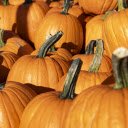 Giant pumpkin  screen for extension Chrome web store in OffiDocs Chromium