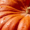 Giant squash  screen for extension Chrome web store in OffiDocs Chromium