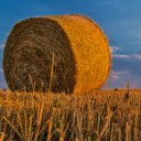 Giant straw roll  screen for extension Chrome web store in OffiDocs Chromium