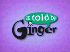 Free download Ginger Purple App Logo free photo or picture to be edited with GIMP online image editor