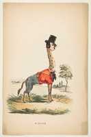 Free download Giraffe (John E. Owens as Jakey), from The Comic Natural History of the Human Race free photo or picture to be edited with GIMP online image editor