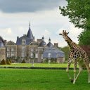 Giraffes in the Park  screen for extension Chrome web store in OffiDocs Chromium