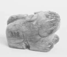 Free download Girdle appendage free photo or picture to be edited with GIMP online image editor