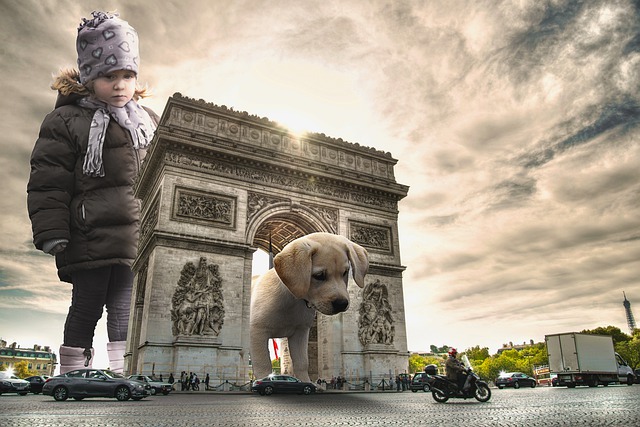 Kostenloser Download Mädchen Kind großer Hund Welpe Kind kostenloses Bild, das mit dem kostenlosen Online-Bildeditor GIMP bearbeitet werden kann