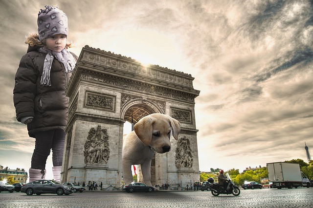 Free download girl child big dog puppy kid free picture to be edited with GIMP free online image editor