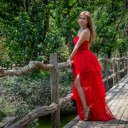 Girl in red dress next to wooden fence  screen for extension Chrome web store in OffiDocs Chromium