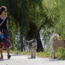 Girls and dogs  screen for extension Chrome web store in OffiDocs Chromium