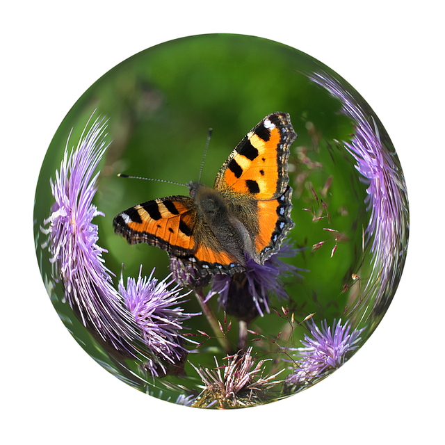 Muat turun percuma Glass Ball Butterfly - ilustrasi percuma untuk diedit dengan editor imej dalam talian percuma GIMP