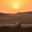 Glasses on sand  screen for extension Chrome web store in OffiDocs Chromium