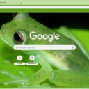 Glass Frog  screen for extension Chrome web store in OffiDocs Chromium