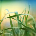 Glittering dew drops  screen for extension Chrome web store in OffiDocs Chromium