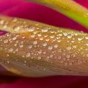 Glittering drops of water  screen for extension Chrome web store in OffiDocs Chromium