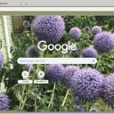Globe Thistle  screen for extension Chrome web store in OffiDocs Chromium