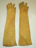 Free download Gloves free photo or picture to be edited with GIMP online image editor