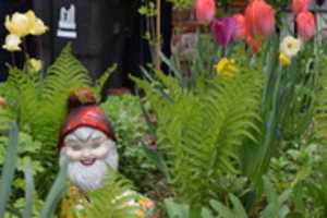 ດາວ​ໂຫຼດ​ຟຣີ Gnome HWBL 01 004 ຮູບ​ພາບ​ຫຼື​ຮູບ​ພາບ​ທີ່​ຈະ​ໄດ້​ຮັບ​ການ​ແກ້​ໄຂ​ທີ່​ມີ GIMP ອອນ​ໄລ​ນ​໌​ບັນ​ນາ​ທິ​ການ​ຮູບ​ພາບ