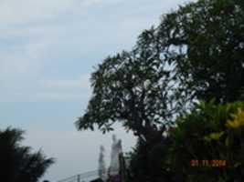 Free download goa  free photo or picture to be edited with GIMP online image editor