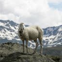 goat and mountains  screen for extension Chrome web store in OffiDocs Chromium