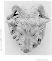 Free download Goats head free photo or picture to be edited with GIMP online image editor