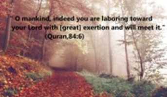 Free download God Speaks To You Directly free photo or picture to be edited with GIMP online image editor