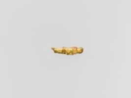 Free download Gold capsule in the form of a grasshopper free photo or picture to be edited with GIMP online image editor