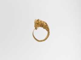 Free download Gold earrings with bulls head free photo or picture to be edited with GIMP online image editor