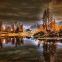 Golden forest with black clouds  screen for extension Chrome web store in OffiDocs Chromium